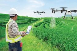Dữ liệu sạch - 'tấm hộ chiếu' mở rộng thị trường cho hợp tác xã