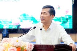 Nghệ An: Sẽ cưỡng chế các ki ốt trên hành lang tỉnh lộ 537B
