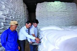 Chi cục Dự trữ Nhà nước khu vực II: Xuất cấp kịp thời, bảo đảm an toàn nguồn lực dự trữ quốc gia