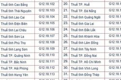 34 thuế tỉnh, thành phố và 350 thuế cơ sở áp dụng mã định danh điện tử mới