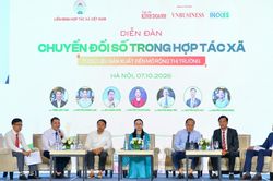 Bắt đầu chuyển đổi số từ đâu: Lời giải từ nội lực và bài toán dữ liệu của HTX