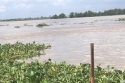 Đồng Tháp: Phát hiện thi thể nam giới trên sông Tiền