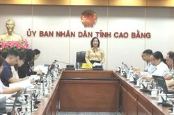 Ban Vì sự tiến bộ của phụ nữ tỉnh họp đánh giá công tác bình đẳng giới