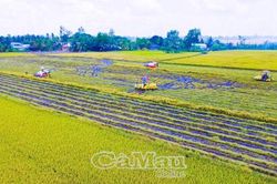 Đẩy mạnh ứng dụng tiến bộ kỹ thuật trong nông nghiệp