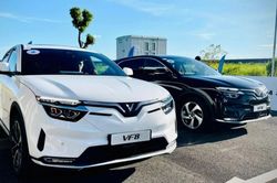 Thị trường ô tô Việt đạt mức tăng trưởng cao nhất khu vực Đông Nam Á
