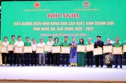 Nghệ An biểu dương 130 điển hình nông dân sản xuất, kinh doanh giỏi giai đoạn 2020-2025