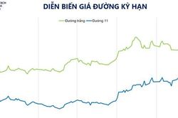 Nhóm hàng hóa họ đậu đồng loạt tăng giá