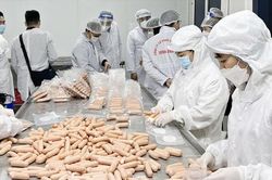 Hà Nội siết hậu kiểm an toàn thực phẩm từ cơ sở