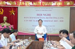 Phường Láng thông qua Đề án sắp xếp tổ chức đảng