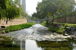 Khơi lại những dòng sông giữa lòng thành phố