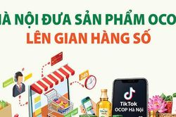 Hà Nội đưa sản phẩm OCOP lên gian hàng số