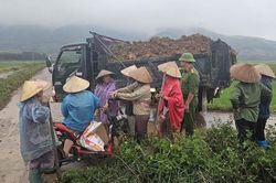 Không khí lạnh có cường độ ổn định, Trung Bộ mưa rất lớn