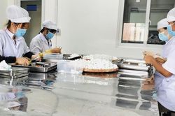 Công nghệ cao trong chế biến dược liệu: Giữ hoạt chất, nâng giá trị cây thuốc