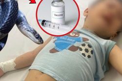 Ấn Độ: Bé trai 4 tuổi bị rắn cắn, nhưng bị tiêm nhầm vaccine phòng dại