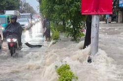 Cảnh nước cuồn cuộn tràn qua đường ở Đồng Nai