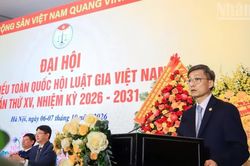 Chủ tịch Hội Luật gia Việt Nam: Phát huy sức mạnh tri thức hội viên, tạo đột phá phục vụ người dân