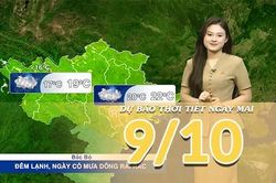 [Video] Dự báo thời tiết đêm nay và ngày mai 9/10/2026: Trung Bộ tiếp tục mưa lớn, cảnh báo nguy cơ lũ quét và sạt lở đất