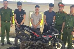 Triệt phá ổ nhóm 'cẩu tặc' bằng súng điện tự chế trên địa bàn tỉnh Hà Tĩnh