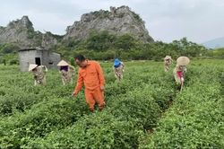 Hà Nội tăng trưởng 2 con số: Sự đồng hành của Thành phố là 'điểm tựa' cho doanh nghiệp bứt phá