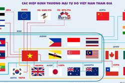 Tận dụng C/O để gia tăng lợi thế cho hàng hóa xuất khẩu