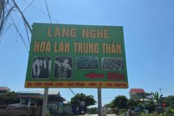 Lan đột biến từng giao dịch 1 tỷ đồng/cm nay chỉ mang treo bờ rào