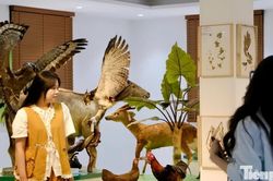 Tận thấy kho báu sinh học hơn 10.000 tiêu bản ở Đà Lạt
