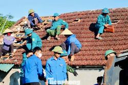 Thanh niên đội nắng, góp sức giải phóng mặt bằng cao tốc nghìn tỉ