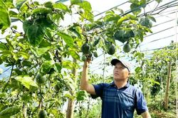 Lào Cai đặt mục tiêu giải ngân ít nhất 75% vốn chương trình mục tiêu quốc gia trong tháng 10