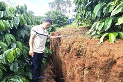 Gia Lai: Thêm một xã xảy ra hiện tượng sạt lở, trượt đất sản xuất
