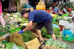 Giá rau củ tăng mạnh, một loại rau gia vị đắt ngang 1kg thịt heo