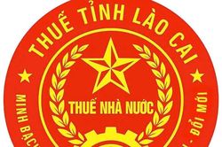 Mã định danh điện tử của cơ quan thuế tại Lào Cai áp dụng từ 1/10