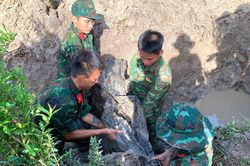 Lão nông Cà Mau phá vườn mai, hiến đất tìm hài cốt liệt sĩ