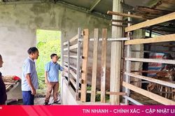 Những người tiên phong đưa đàn hươu về với xã biển Kỳ Xuân