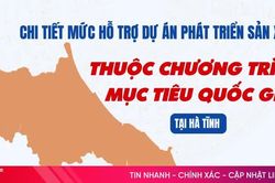 [Infographic] Chi tiết mức hỗ trợ dự án phát triển sản xuất thuộc Chương trình mục tiêu quốc gia tại Hà Tĩnh