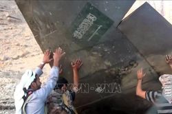 Houthi kêu gọi Thổ Nhĩ Kỳ, Pakistan tránh bị cuốn vào cuộc chiến Yemen