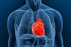 AI giúp phát hiện đào thải tim ghép không cần sinh thiết