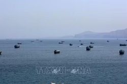 Iran có đang mất quyền kiểm soát eo biển Hormuz?