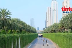Cận cảnh thí điểm phủ xanh cầu vượt, hầm chui ở Hà Nội