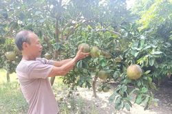 Tỏa sáng giữa đời thường