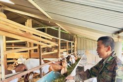Khoa học kỹ thuật tiếp sức nông dân vùng biên Sơn Hồng phát triển kinh tế
