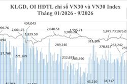 Tháng 9: Giao dịch trái phiếu Chính phủ không có biến động