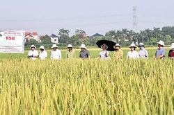 Điểm tựa xây dựng nông thôn mới