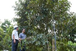 Trợ lực cho phát triển miền núi:Thúc đẩy phát triển bền vững