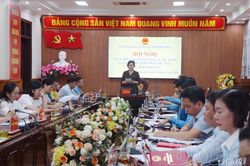 Đoàn ĐBQH tỉnh lấy ý kiến vào 4 dự thảo Luật