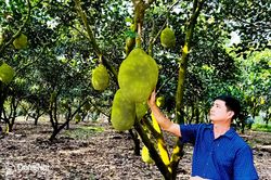 Những xã nông thôn mới đầu tiên của thành phố