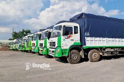 Doanh thu vận tải, kho bãi, dịch vụ hỗ trợ vận tải tăng 20,5%