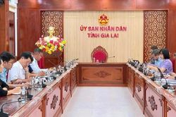 Phó Chủ tịch UBND tỉnh Nguyễn Thị Thanh Lịch làm việc với CLB Quy Nhơn United
