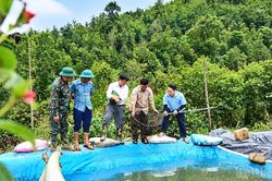 Người tiên phong nuôi cá nước lạnh trên đỉnh Lùng Cúng