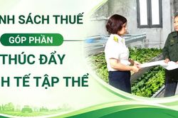 Chính sách thuế góp phần thúc đẩy kinh tế tập thể