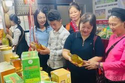 Lào Cai giới thiệu 98 sản phẩm đặc trưng tại Hội chợ Làng nghề Việt Nam 2026